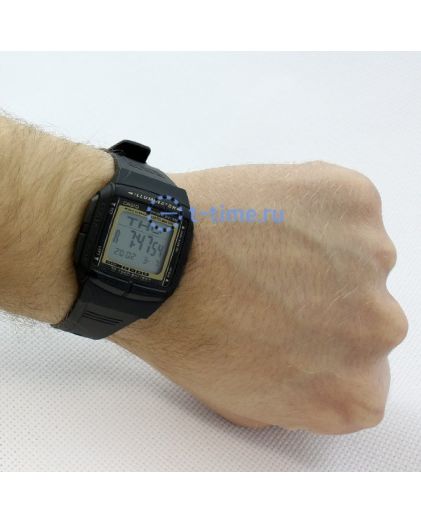CASIO DB-36-9A