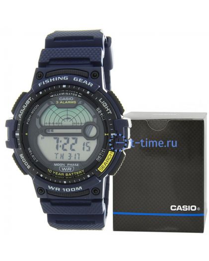 CASIO WS-1200H-2AVEF
