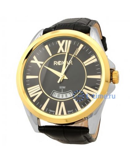 ROXAR GR876G2GB