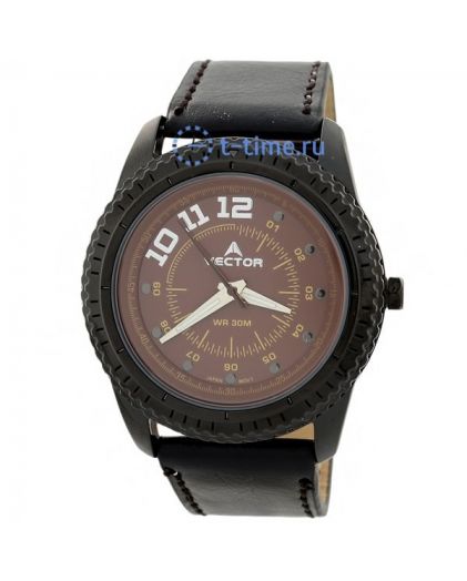 VECTOR 009557-V8 IPB Brown