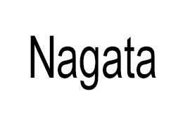 Бренд Nagata
