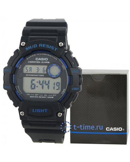 CASIO TRT-110H-2A