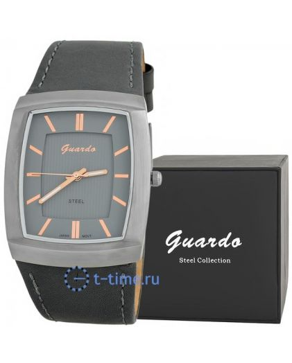 GUARDO S09309 IPS Silver
