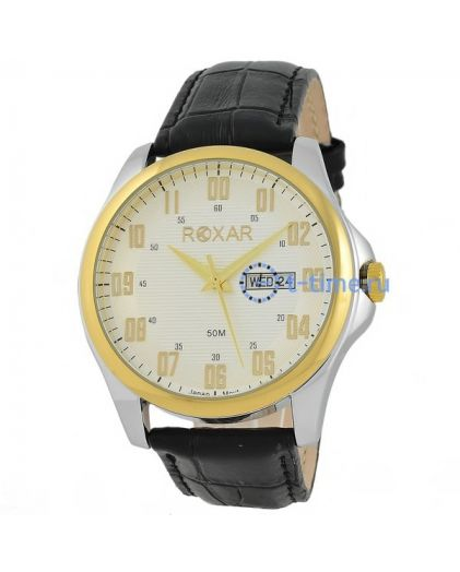ROXAR GB864G2GS