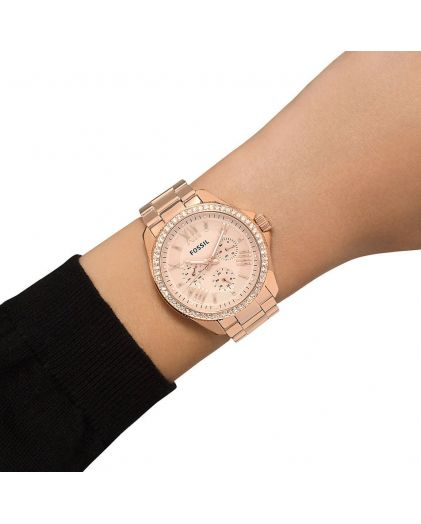Fossil Cecile AM4483