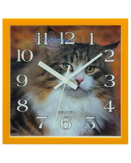Настенные часы Салют ПЕ-А2.1-282 кот